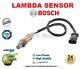 Bosch Lambda Sensor For Mercedes Benz Sprinter 5-t 516 Cdi Allrad 2019-on