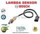 Bosch Lambda Sensor For Mercedes Sprinter Platform/chassis 415 Cdi 2006-2009