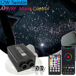 Car Dual Head Fiber Optic 12W Lights Smart RGBW Twinkle RF Remote Bluetooth APP